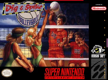 Dig & Spike Volleyball (USA) box cover front